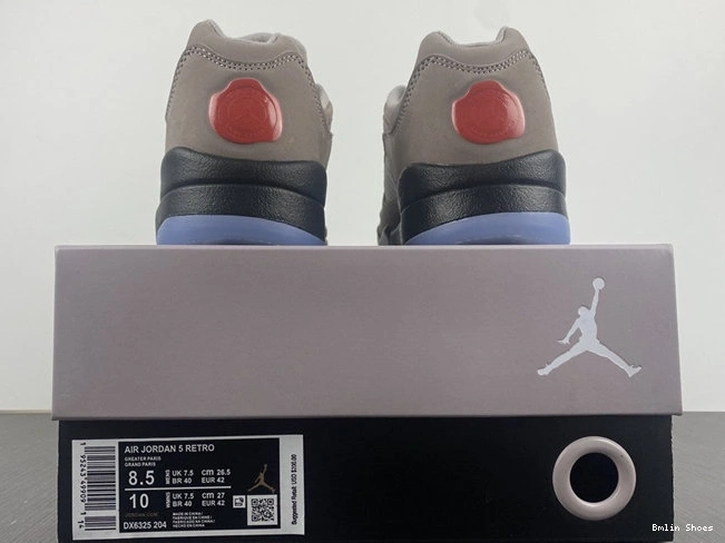 Bmlin 4006 Low Jordan5 TechFriendly DX6325- 1027